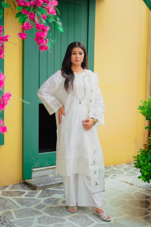 Rani Embroidered 3Pcs ( Lawn Fabric )