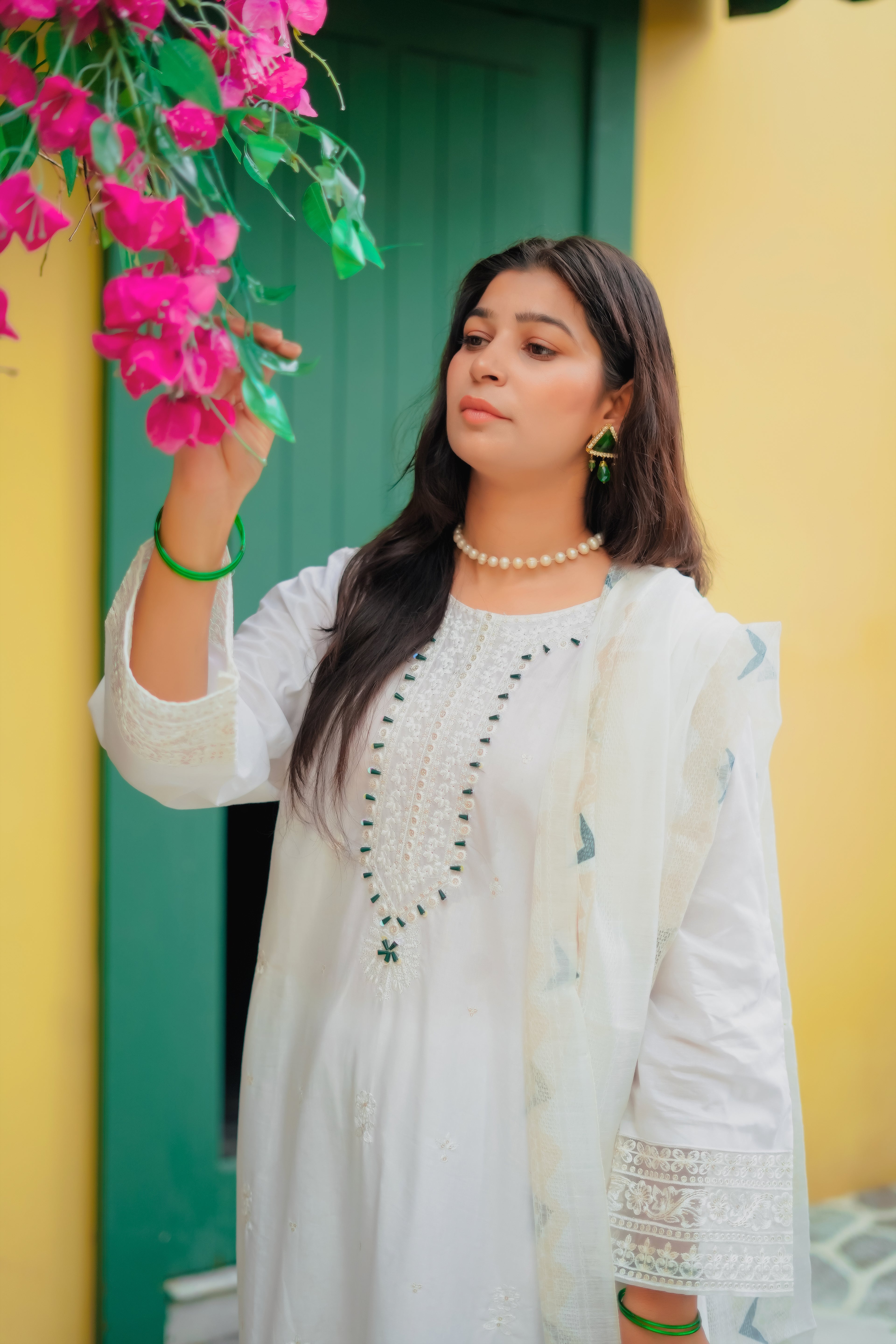 Rani Embroidered 3Pcs ( Lawn Fabric )
